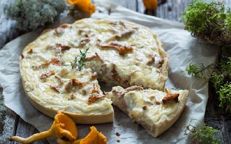 Grzybowa tarta na kruchym cieście
