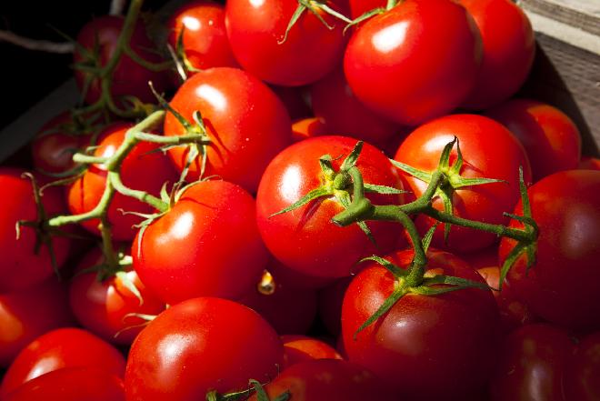 Pomidory: co warto o nich wiedzieć? Ciekawostki o pomidorach + WIDEO